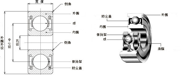 軸承的結(jié)構(gòu)