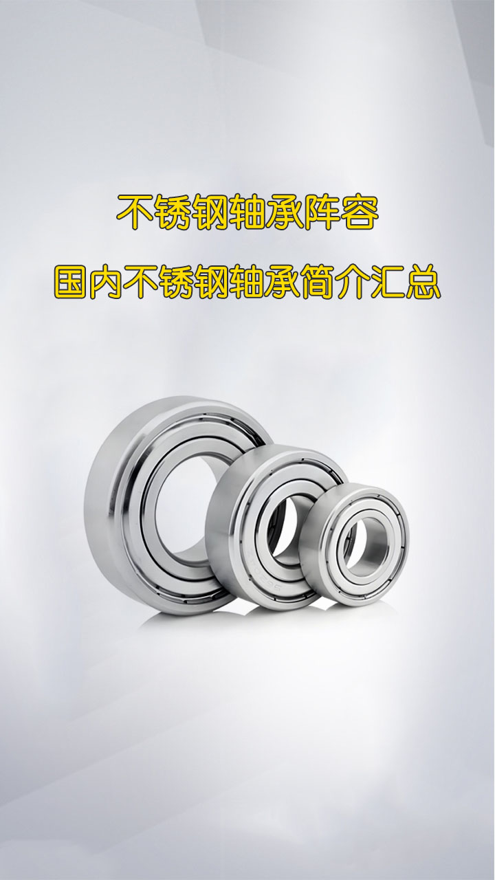不銹鋼軸承陣容 國內(nèi)不銹鋼軸承簡介匯總